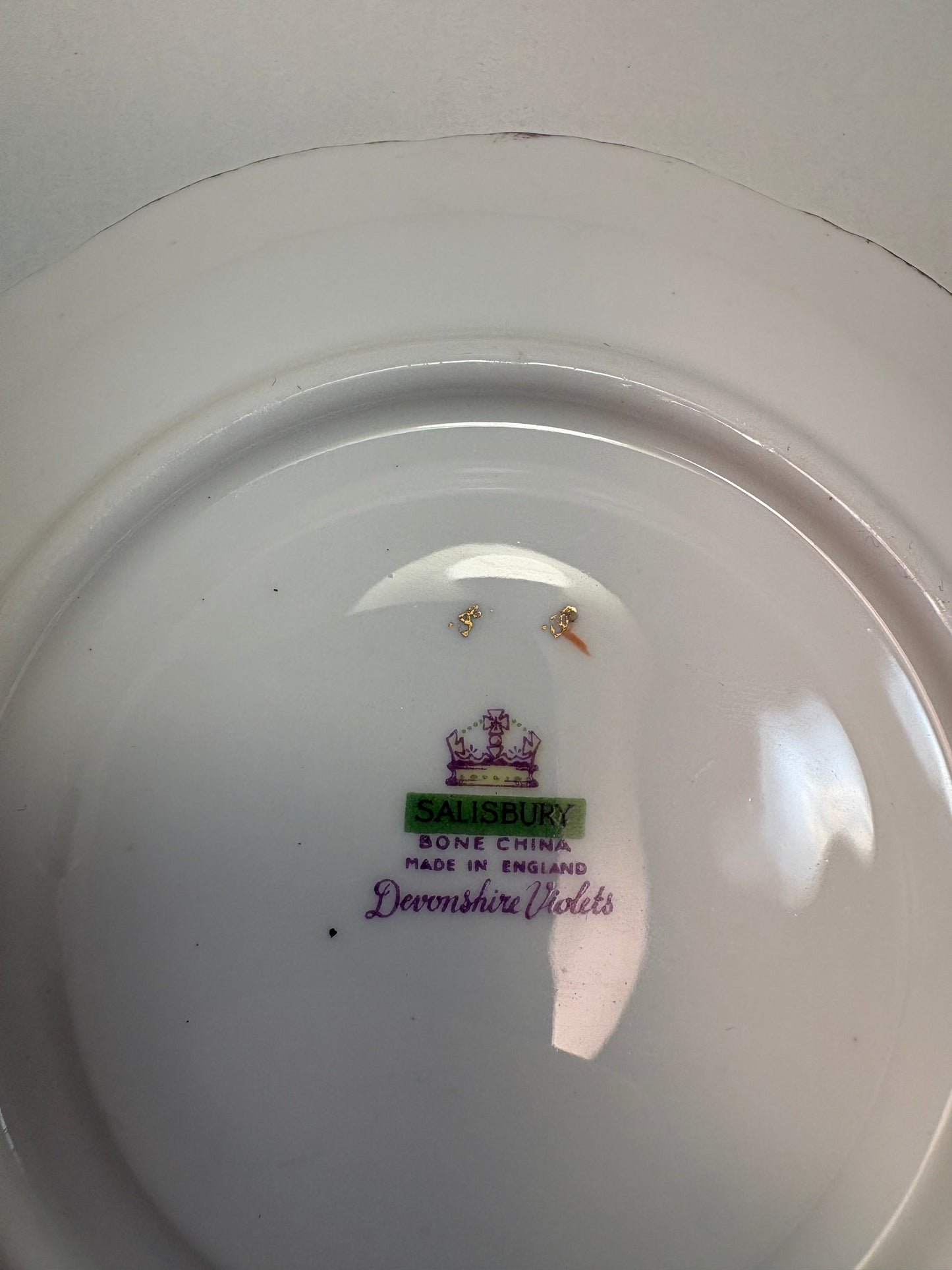 Vintage Salisbury Bone China Tea Cup and Saucer Set in the "Devonshire Violets" Pattern