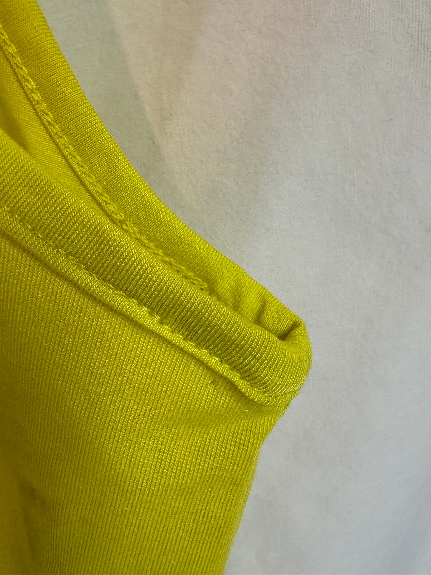 Men's The North Face Performance Wander Sleeveless Shirt